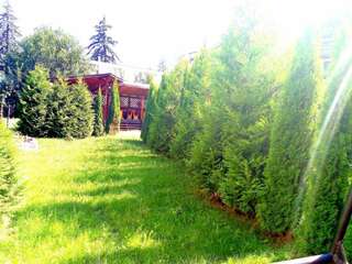 Отель Hotel Miraj Пояна-Брашов-4